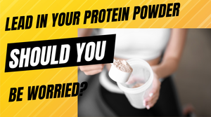 how much lead is in protein powders