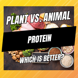 are plant and animal protein equal
