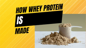 how is protein powder made