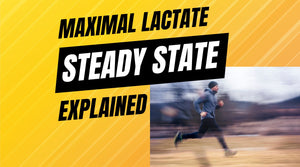 what is maximal lactate steady state?