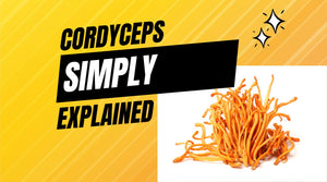 what do cordyceps do?