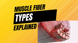 what are the different muscle fiber types