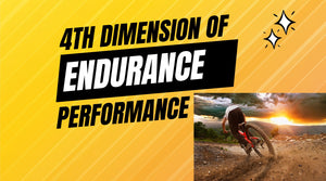 what is the 4th dimension of endurance performance?