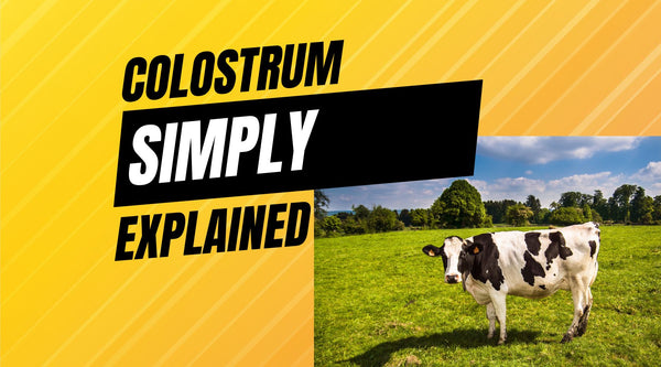 Colostrum supplement benefits and dose