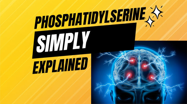 what does phosphatidylserine do?