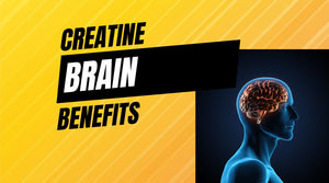 does creatine have any benefits for your brain?