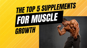 best supplements for muscle building