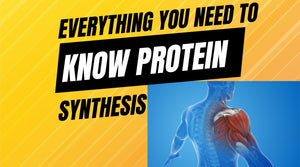 what is muscle protein synthesis