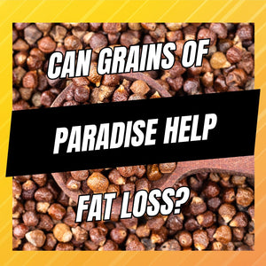 can grains of paradise help with fat loss