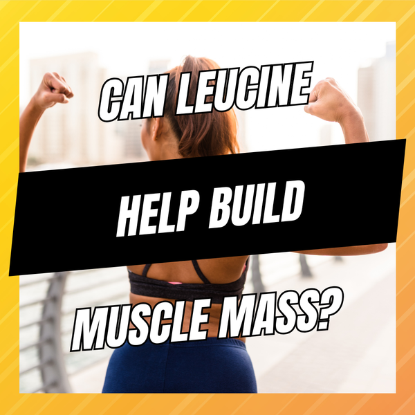 can leucine help build muscle mass