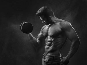 phosphatidic acid for muscle growth