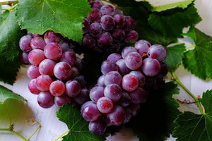 grape seed extract benefits