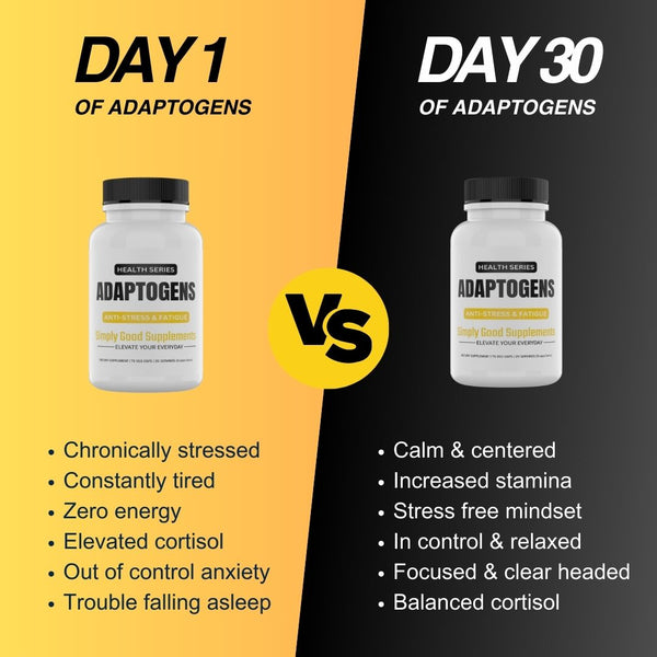 adaptogens for stress and fatigue