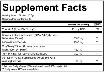 Simply Good Supplements Recovery Supplement Facts Panel